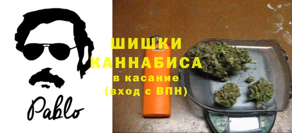 сатива Алексин