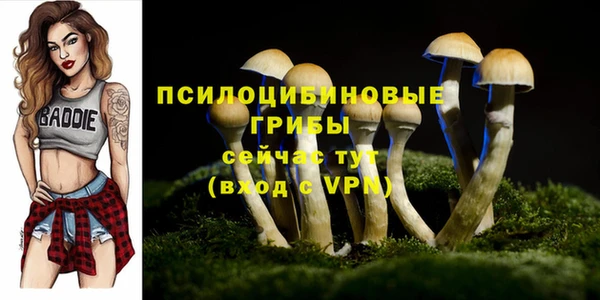 сатива Алексин