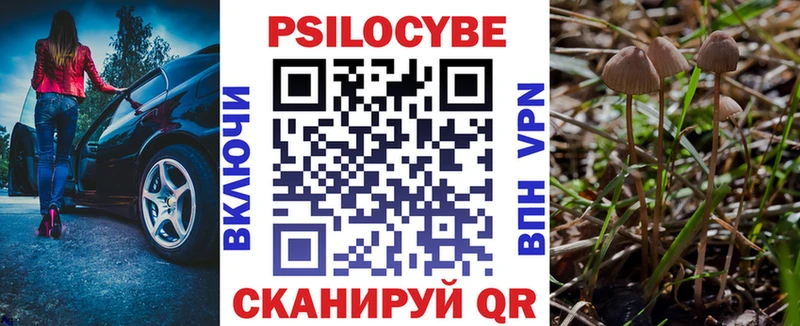 Псилоцибиновые грибы мицелий  Ессентукская 